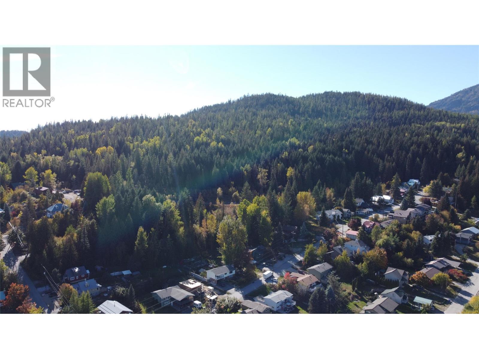 1731 Cook Avenue, Rossland, British Columbia  V0G 1Y0 - Photo 49 - 10365188