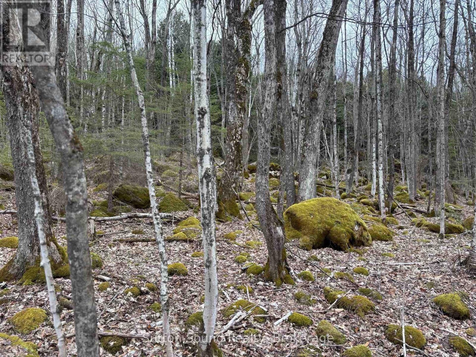 Pt Lt 9 Con 14 Ebr Pt 7 (3r1116) Concession, Northern Bruce Peninsula, Ontario  N0H 1W0 - Photo 10 - X12121911