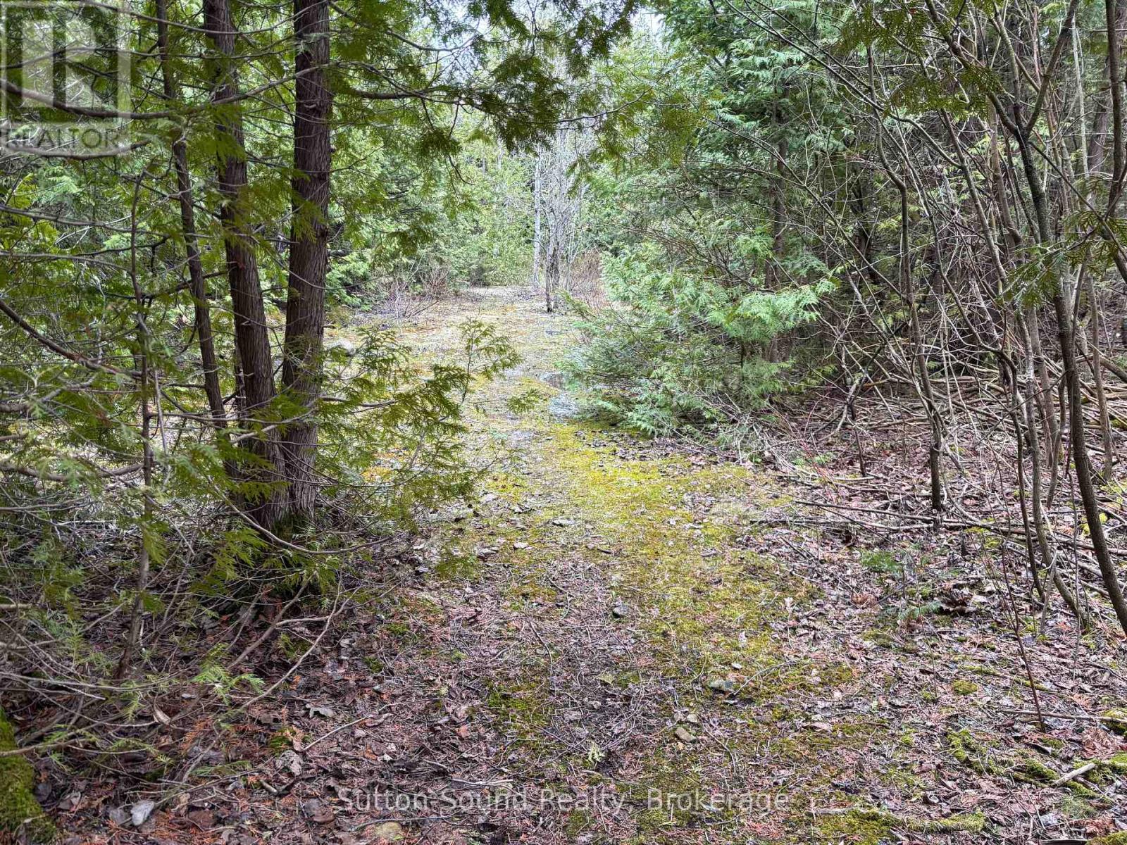 Pt Lt 9 Con 14 Ebr Pt 7 (3r1116) Concession, Northern Bruce Peninsula, Ontario  N0H 1W0 - Photo 12 - X12121911