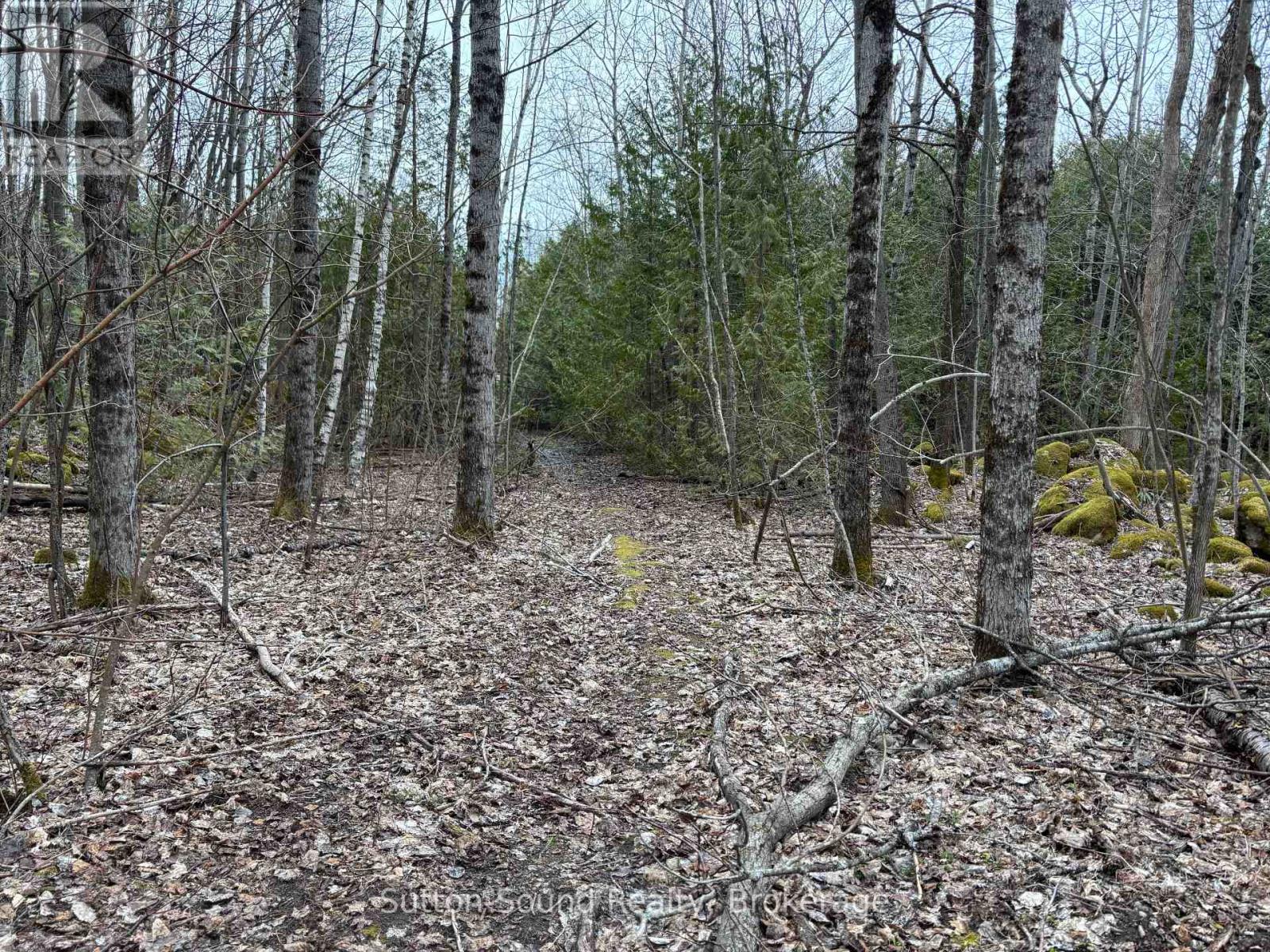 Pt Lt 9 Con 14 Ebr Pt 5 Concession, Northern Bruce Peninsula, Ontario  N0H 1W0 - Photo 12 - X12121912