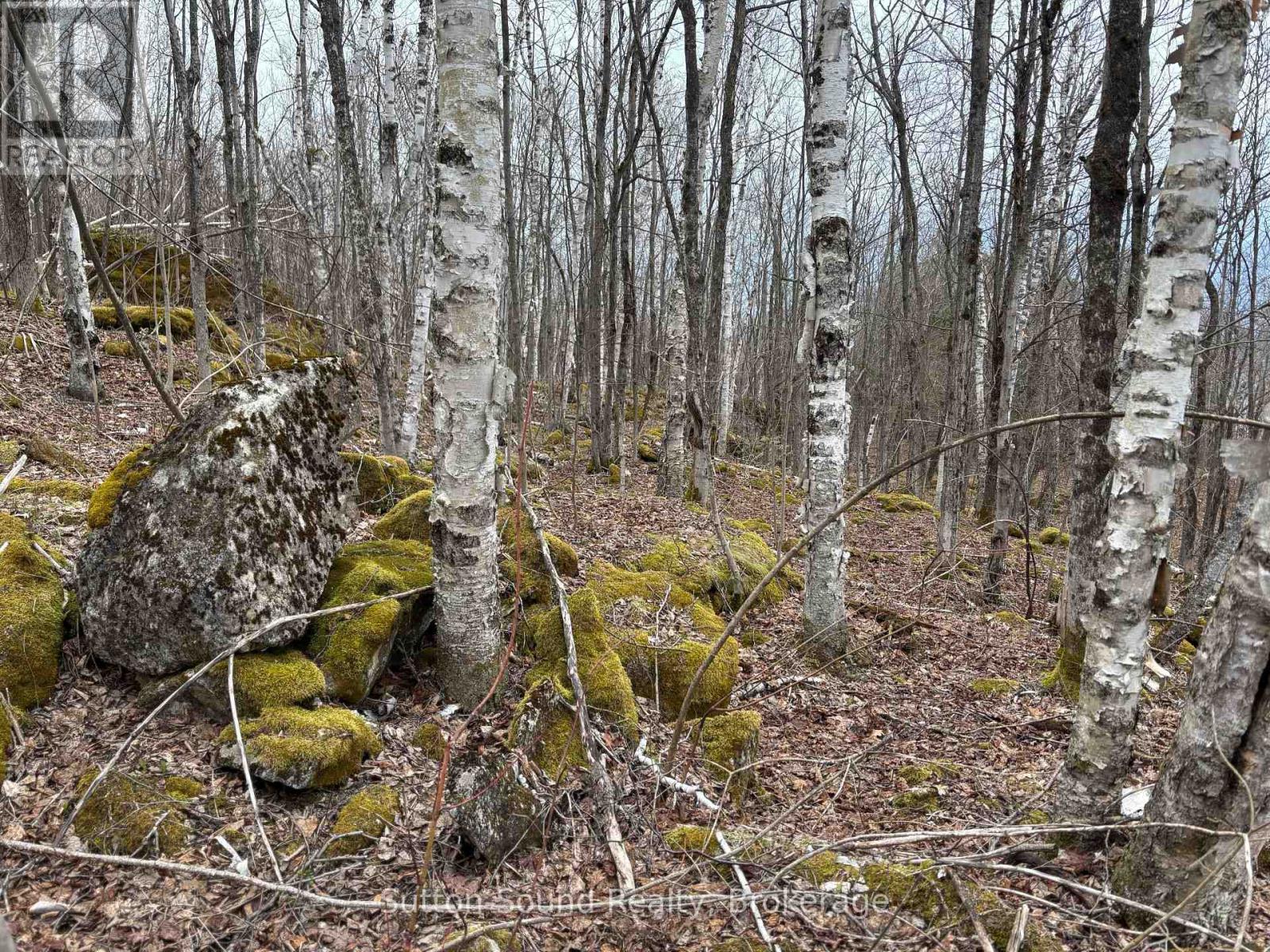 Pt Lt 9 Con 14 Ebr Pt 5 Concession, Northern Bruce Peninsula, Ontario  N0H 1W0 - Photo 6 - X12121912