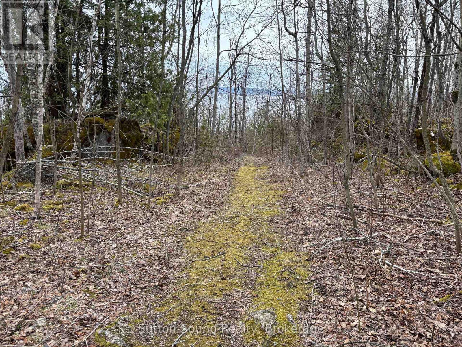 Pt Lt 9 Con 14 Ebr Pt 2 Concession, Northern Bruce Peninsula, Ontario  N0H 1W0 - Photo 11 - X12121913