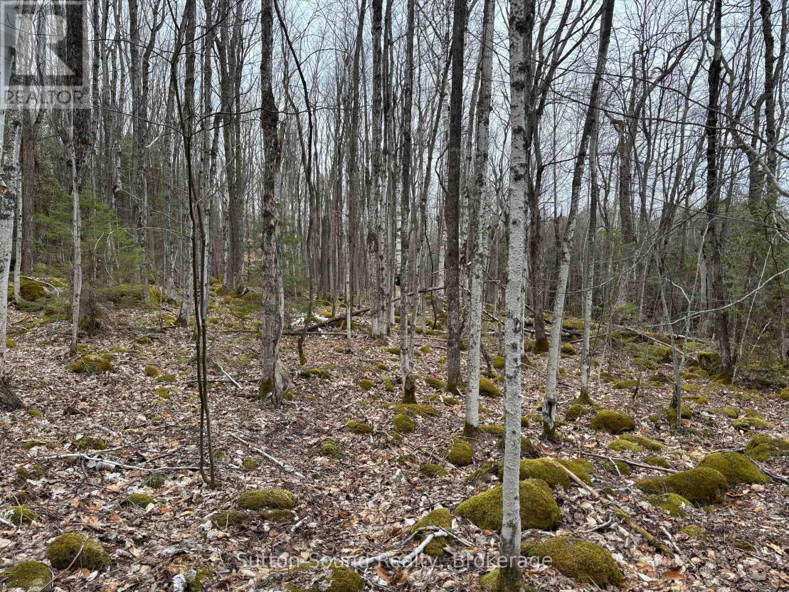 Pt Lt 9 Con 14 Ebr Pt 12 Concession, Northern Bruce Peninsula, Ontario  N0H 1W0 - Photo 6 - X12121914