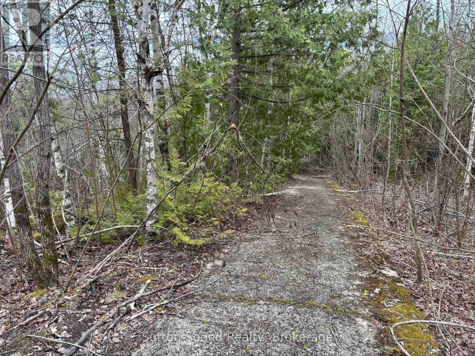 Pt Lt 9 Con 14 Ebr Pt 5 Concession, Northern Bruce Peninsula, Ontario  N0H 1W0 - Photo 7 - X12121912