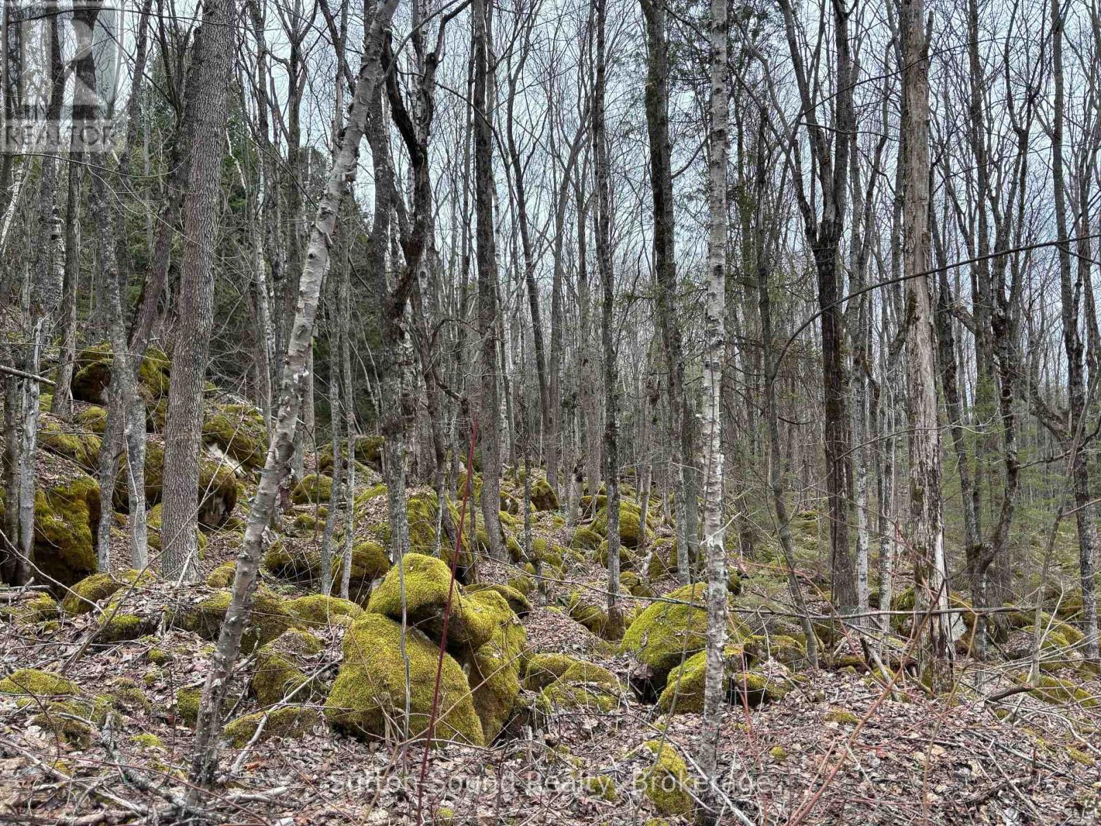 Pt Lt 9 Con 14 Ebr Pt 12 Concession, Northern Bruce Peninsula, Ontario  N0H 1W0 - Photo 5 - X12121914