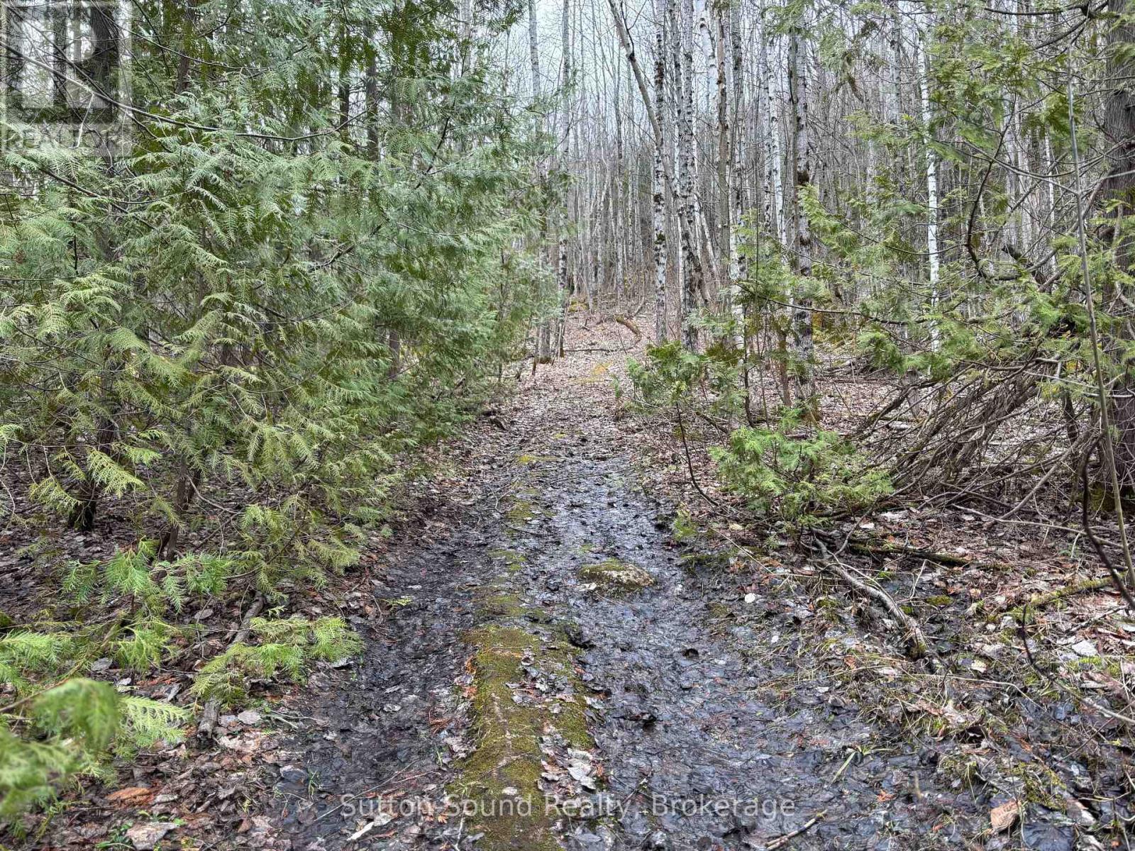 Pt Lt 9 Con 14 Ebr Pt 12 Concession, Northern Bruce Peninsula, Ontario  N0H 1W0 - Photo 7 - X12121914