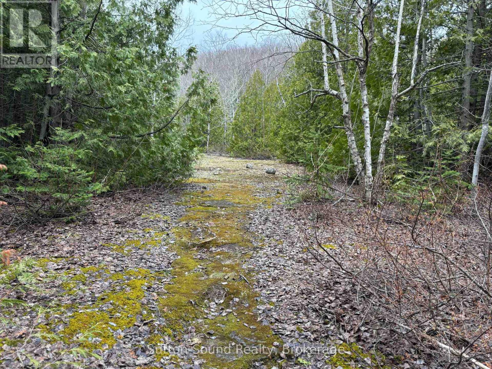 Pt Lt 9 Con 14 Ebr Pt 7 (3r728) Concession, Northern Bruce Peninsula, Ontario  N0H 1W0 - Photo 5 - X12121915