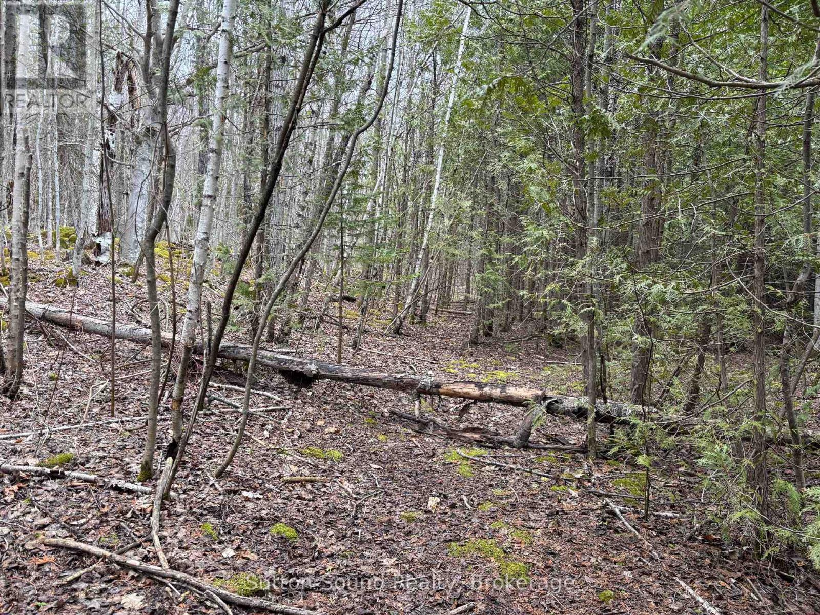 Pt Lt 9 Con 14 Ebr Pt 7 (3r728) Concession, Northern Bruce Peninsula, Ontario  N0H 1W0 - Photo 7 - X12121915