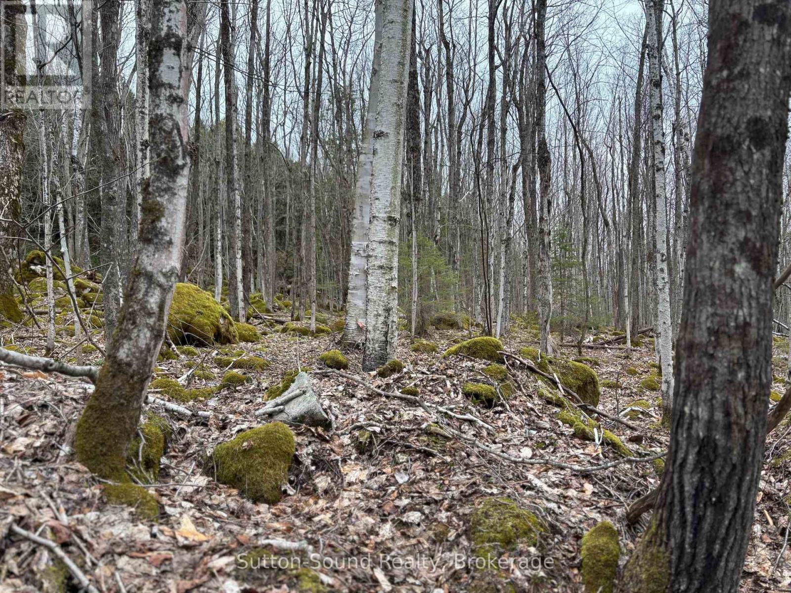 Pt Lt 9 Con 14 Ebr Pt 2 Concession, Northern Bruce Peninsula, Ontario  N0H 1W0 - Photo 7 - X12121913