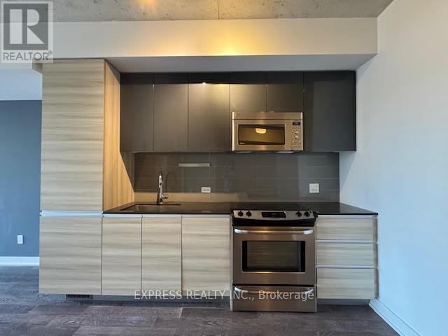 1002 - 1190 Dundas Street E, Toronto, Ontario  M4M 1S2 - Photo 3 - E12451759