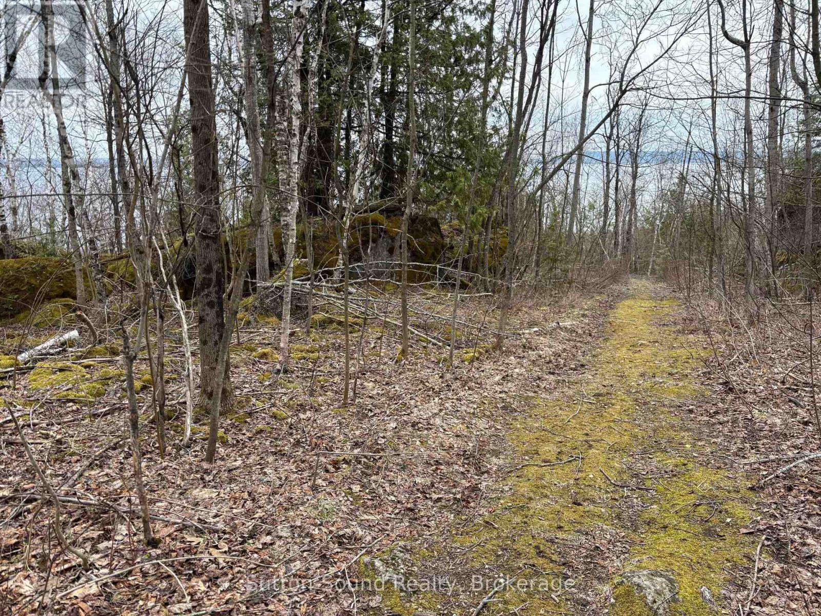 Pt Lt 9 Con 14 Ebr Pt 7 (3r728) Concession, Northern Bruce Peninsula, Ontario  N0H 1W0 - Photo 10 - X12121915