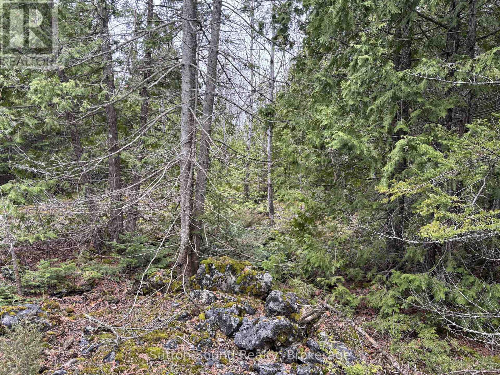 Pt Lt 1 Con 3 Wbr (Thirdly) Concession, Northern Bruce Peninsula, Ontario  N0H 1W0 - Photo 4 - X12121923