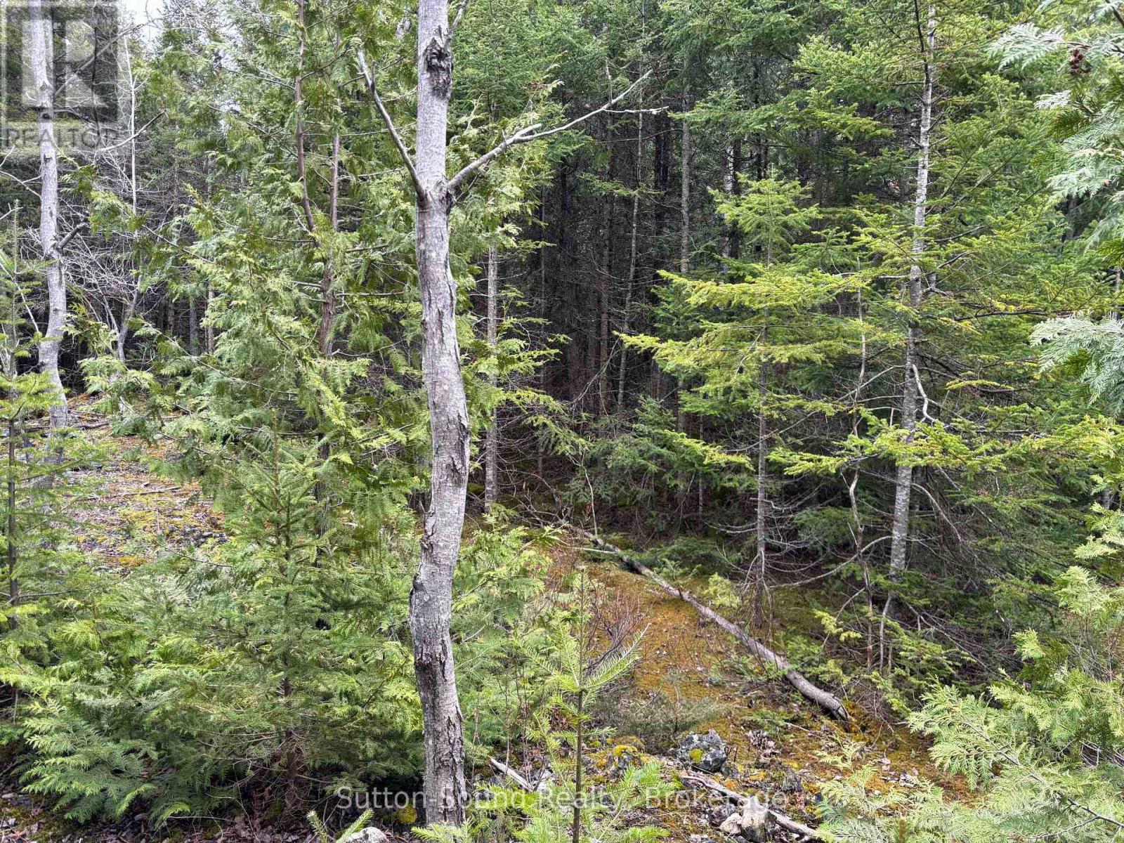 Pt Lt 1 Con 3 Wbr (Secondly) Concession, Northern Bruce Peninsula, Ontario  N0H 1W0 - Photo 5 - X12121925