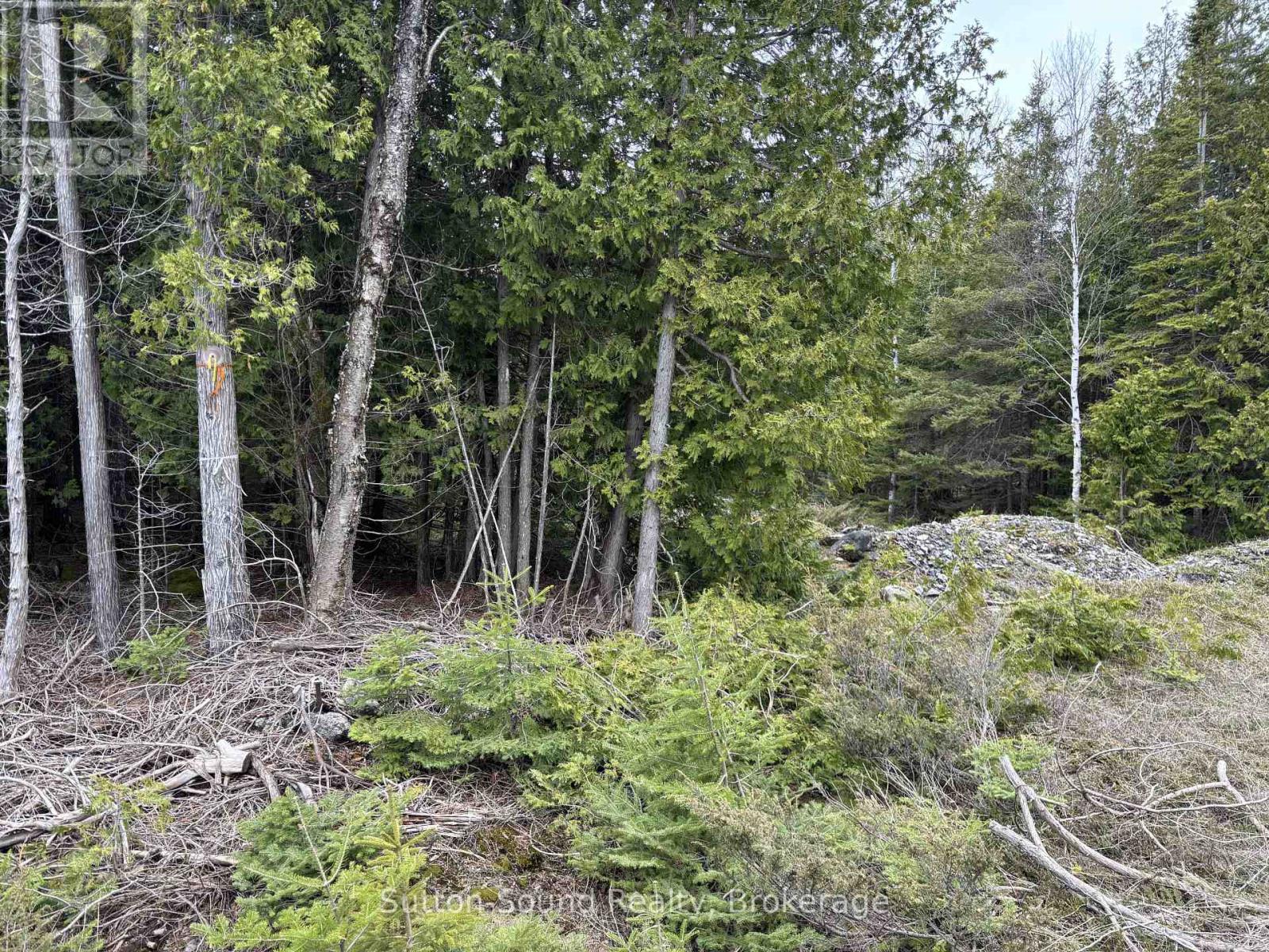 Pt Lt 1 Con 3 Wbr (Fourthly) Concession, Northern Bruce Peninsula, Ontario  N0H 1W0 - Photo 5 - X12121922
