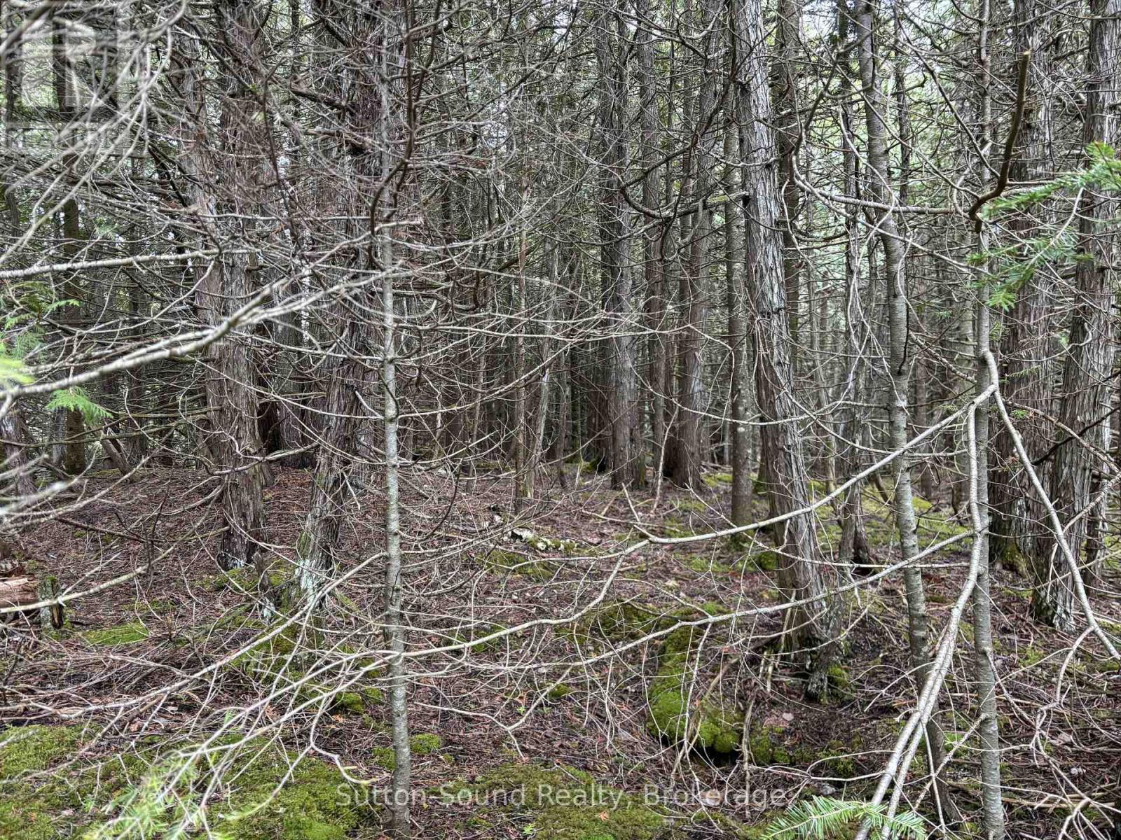 Pt Lt 1 Con 3 Wbr (Fifthly) Concession, Northern Bruce Peninsula, Ontario  N0H 1W0 - Photo 5 - X12121921