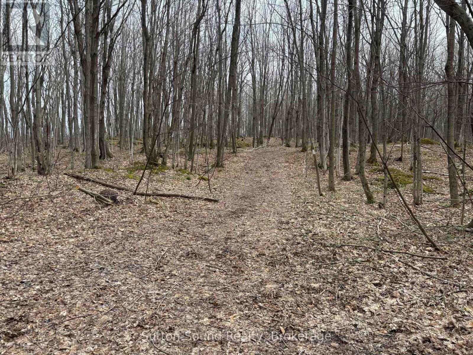 Pt Lt 9 Con 14 Ebr Pt 20 Concession, Northern Bruce Peninsula, Ontario  N0H 1W0 - Photo 10 - X12162257