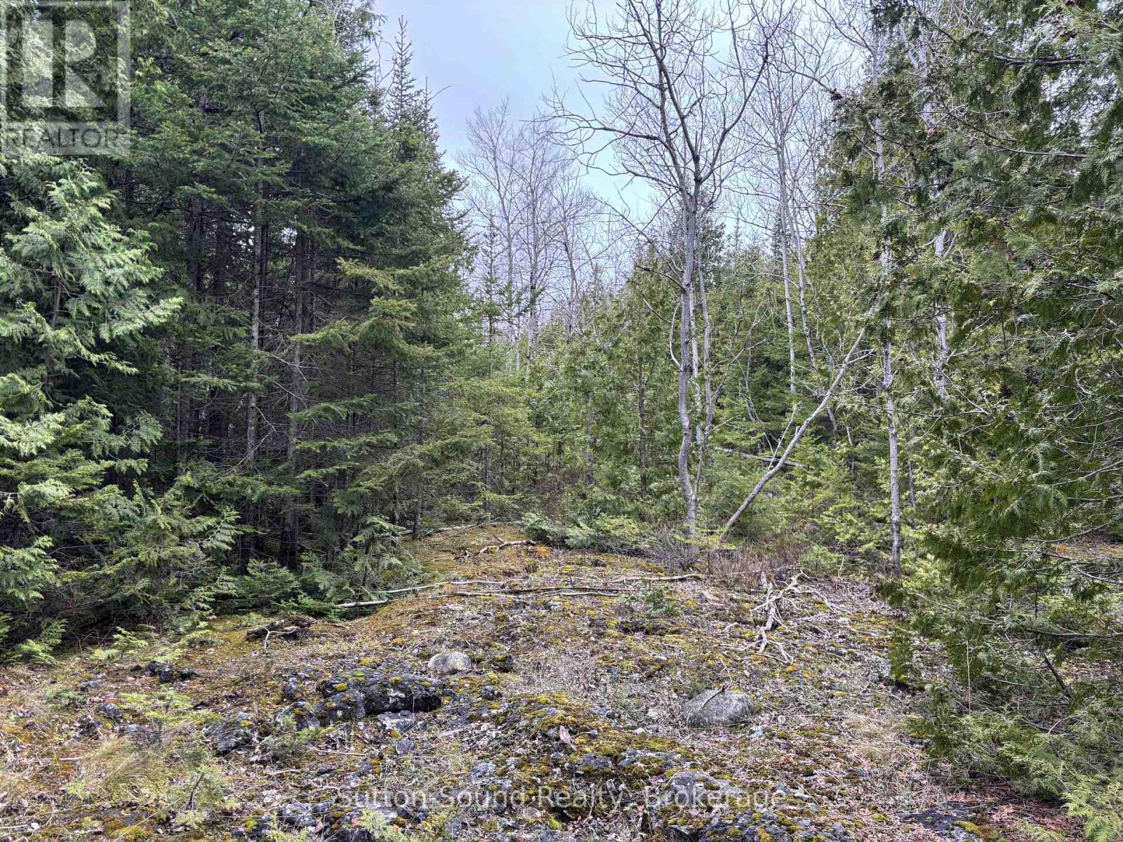 Pt Lt 1 Con 3 Wbr (Secondly) Concession, Northern Bruce Peninsula, Ontario  N0H 1W0 - Photo 4 - X12121925