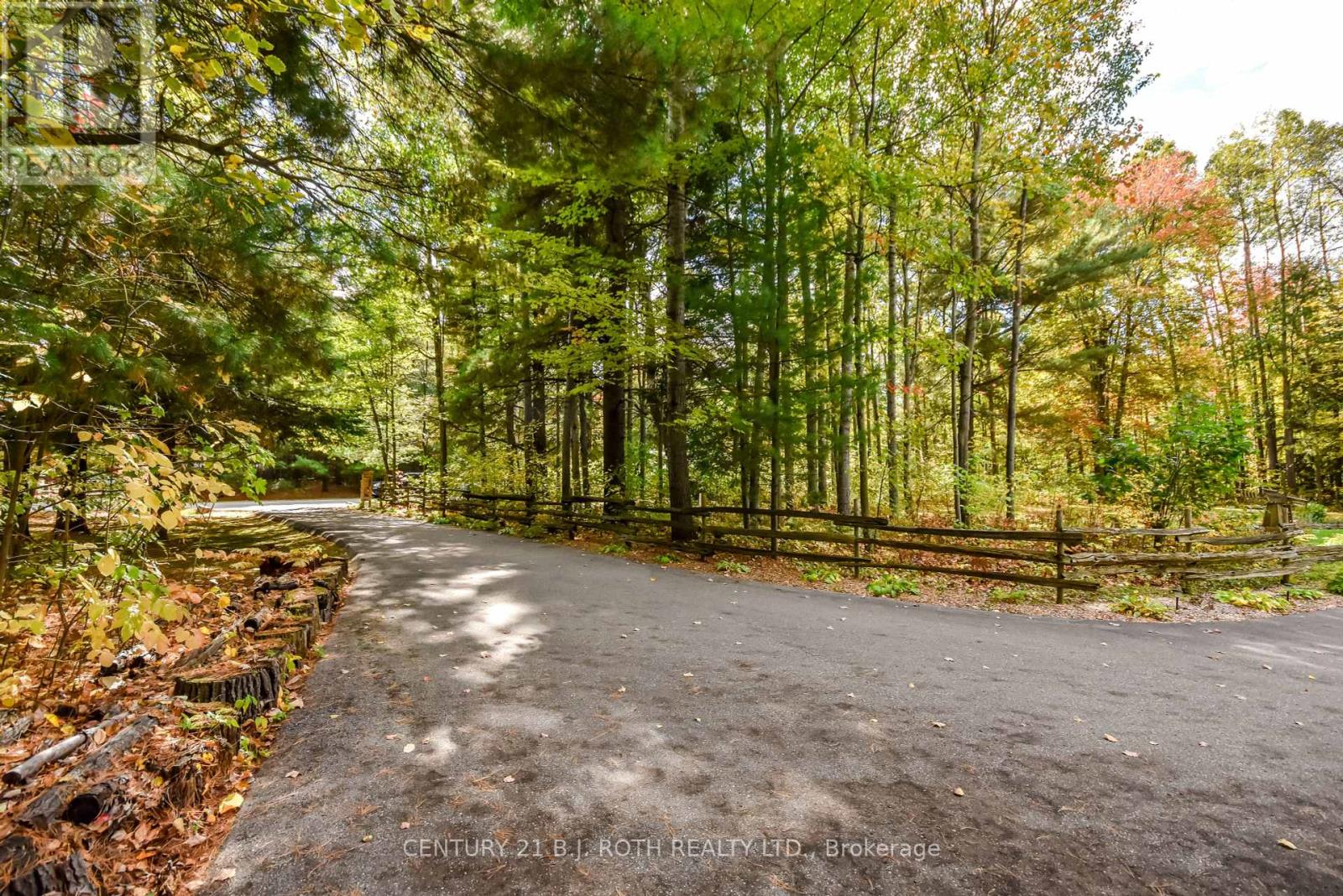 30 David Drive, Adjala-Tosorontio, Ontario  L0M 1M0 - Photo 36 - N12451740