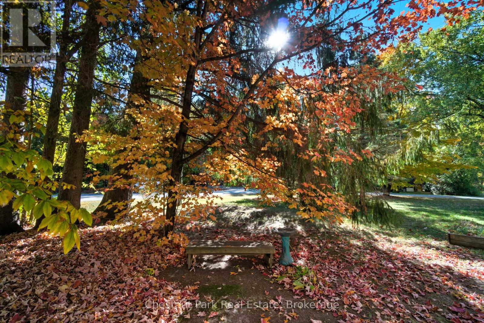 14 Dickie Street, Lake Of Bays, Ontario  P0B 1A0 - Photo 36 - X12451822