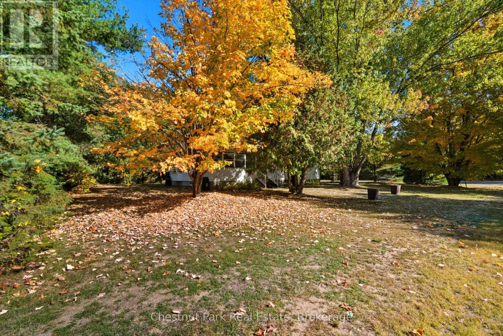 14 Dickie Street, Lake Of Bays, Ontario  P0B 1A0 - Photo 40 - X12451822