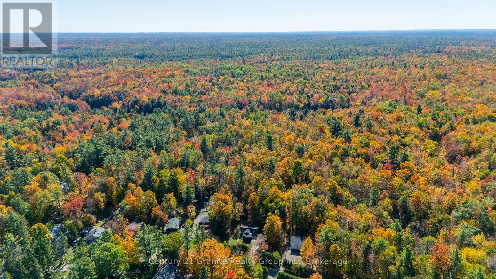 1297 Hamilton Road, Minden Hills, Ontario  K0M 2K0 - Photo 24 - X12451867
