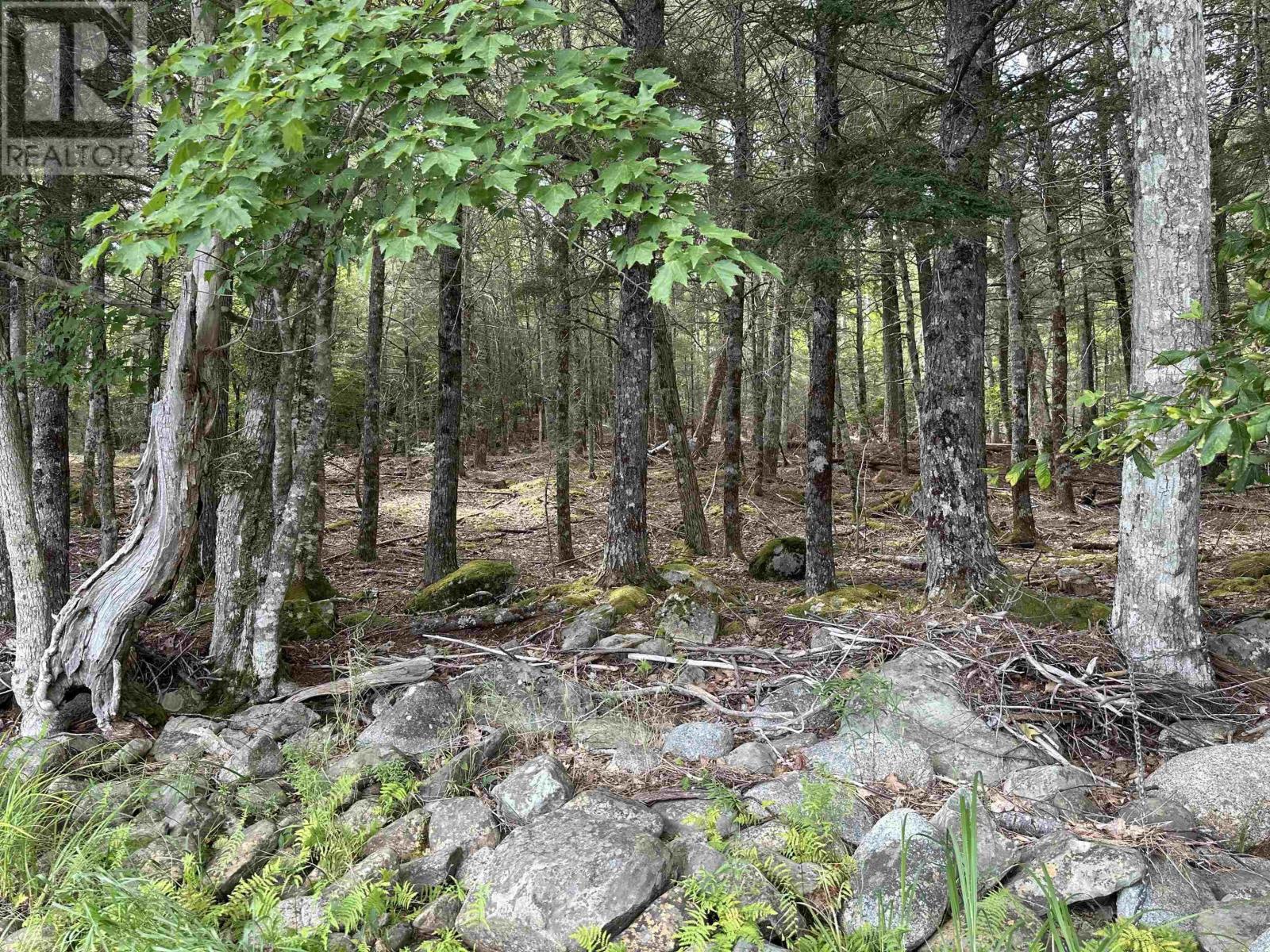 597 Peters Point Road, South Brookfield, Nova Scotia  B0T 1X0 - Photo 41 - 202521364