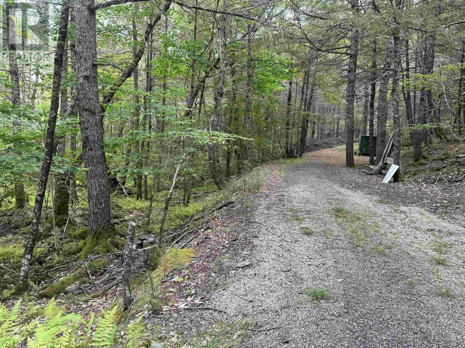 597 Peters Point Road, South Brookfield, Nova Scotia  B0T 1X0 - Photo 49 - 202521364