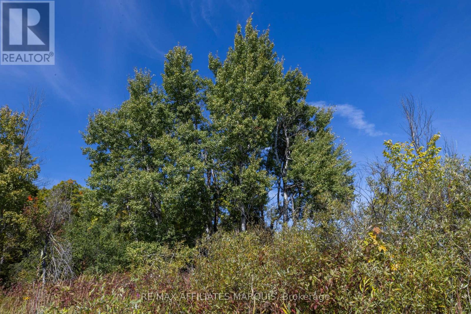19112 Hwy 7 Highway, Tay Valley, Ontario  K7H 3C8 - Photo 2 - X12402824