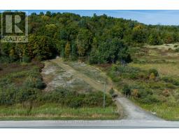 19112 Hwy 7 Highway, Tay Valley, Ca