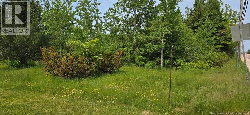 934 Hillsborough Road, Riverview, New Brunswick  E1B 3W5 - Photo 7 - NB128184