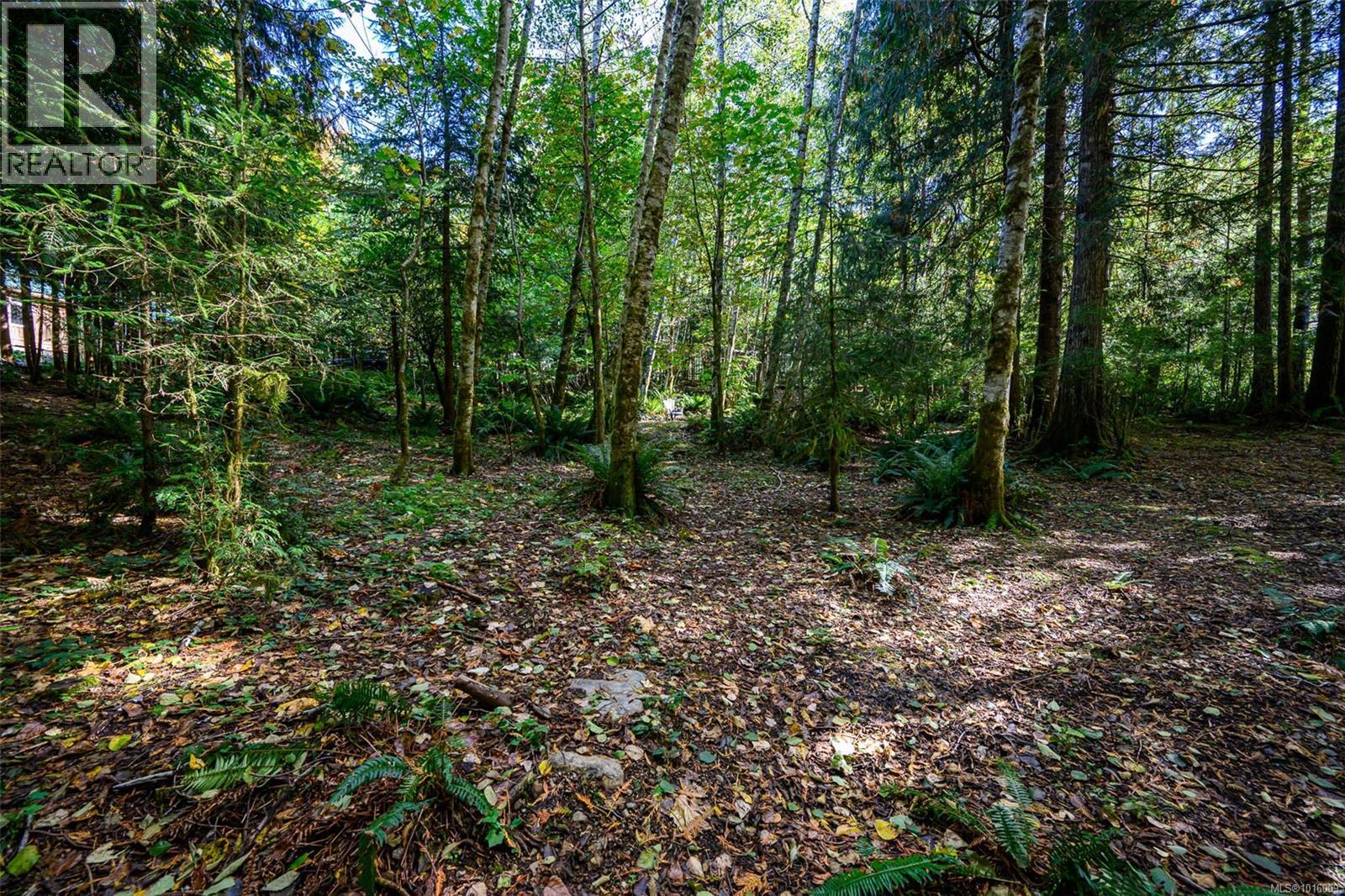 584 Sabre Rd, Sayward, British Columbia  V0P 1R0 - Photo 21 - 1016009