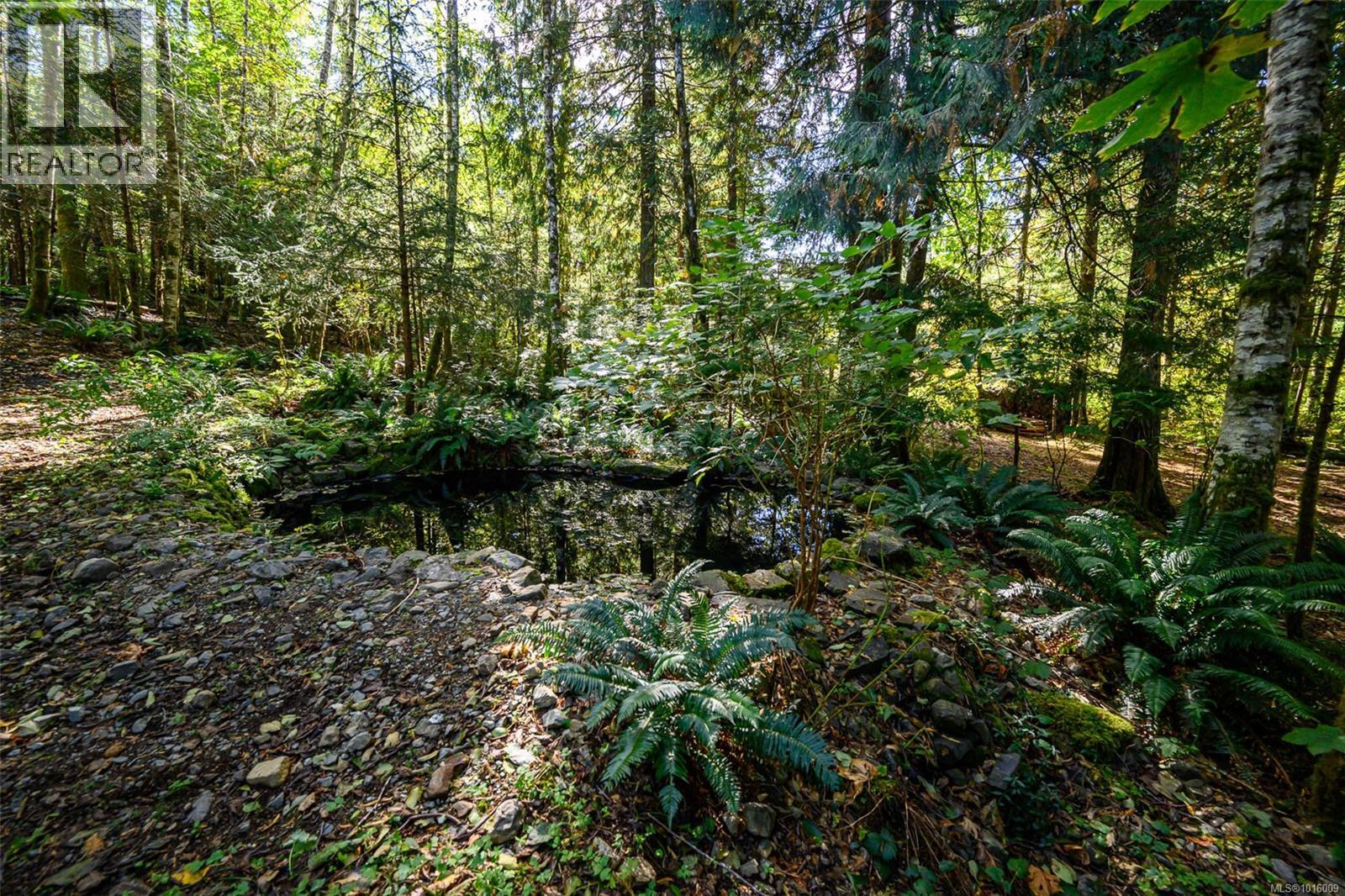 584 Sabre Rd, Sayward, British Columbia  V0P 1R0 - Photo 23 - 1016009