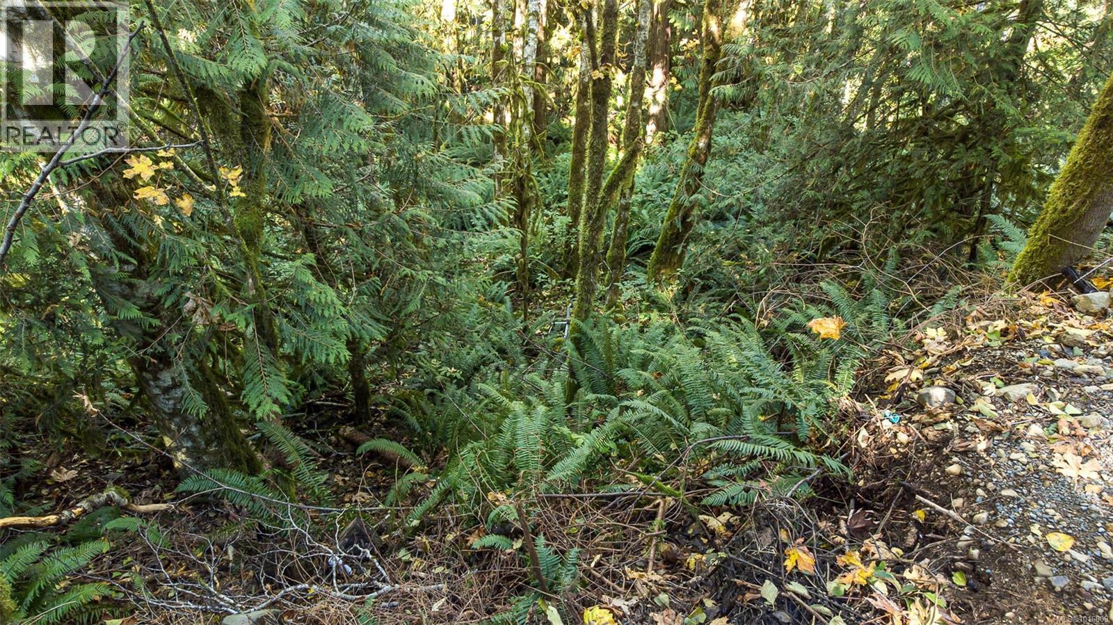 584 Sabre Rd, Sayward, British Columbia  V0P 1R0 - Photo 24 - 1016009