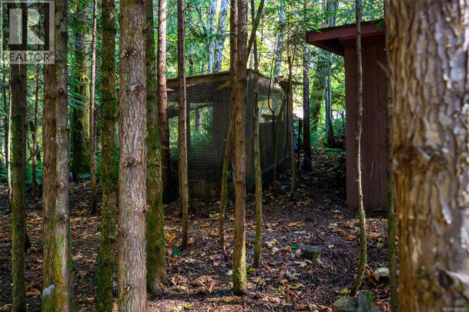 584 Sabre Rd, Sayward, British Columbia  V0P 1R0 - Photo 30 - 1016009