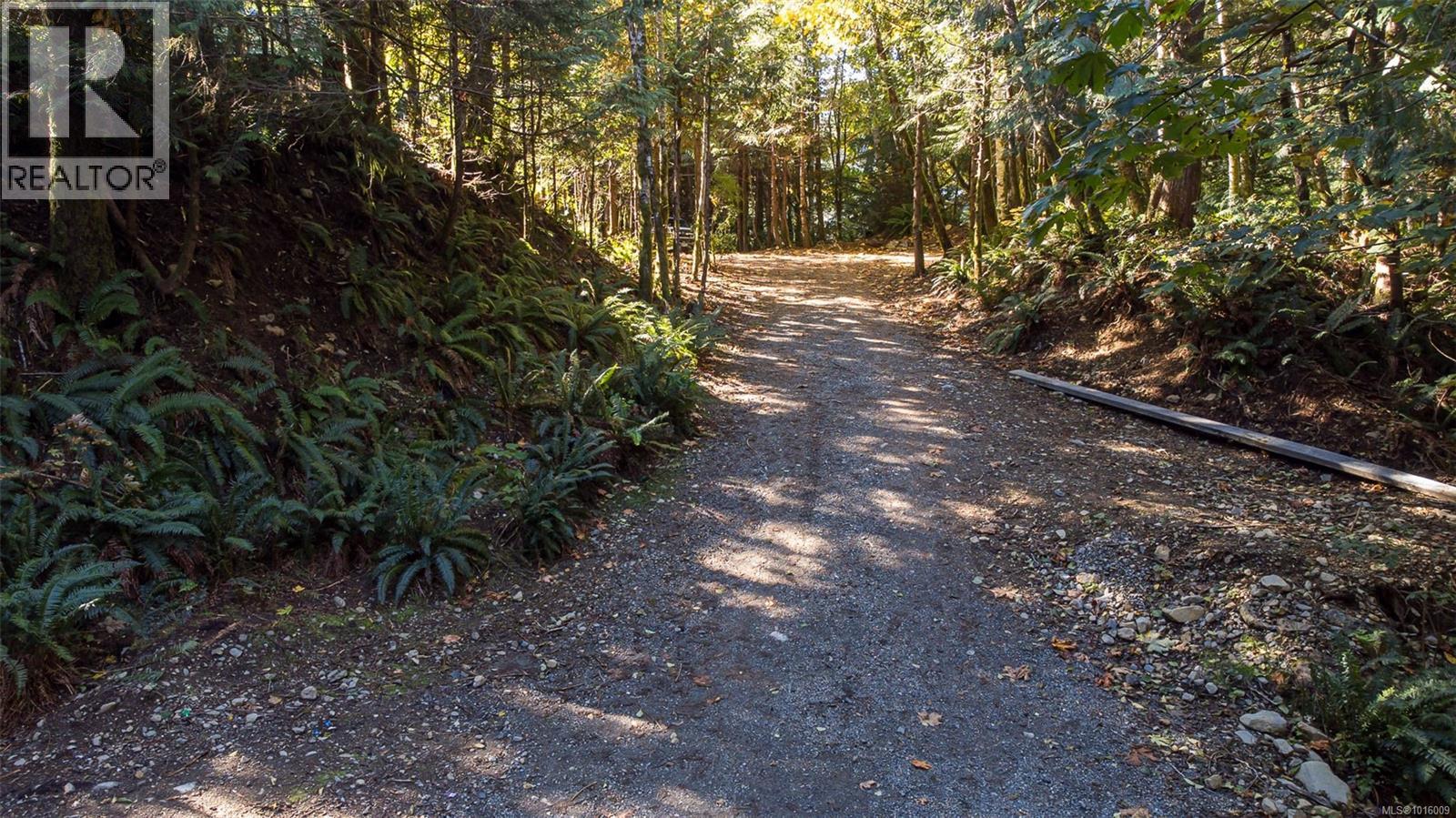 584 Sabre Rd, Sayward, British Columbia  V0P 1R0 - Photo 38 - 1016009