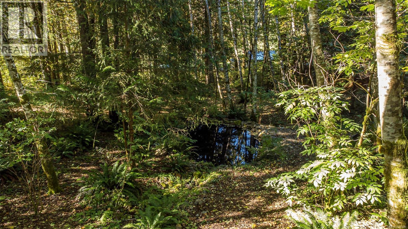 584 Sabre Rd, Sayward, British Columbia  V0P 1R0 - Photo 40 - 1016009