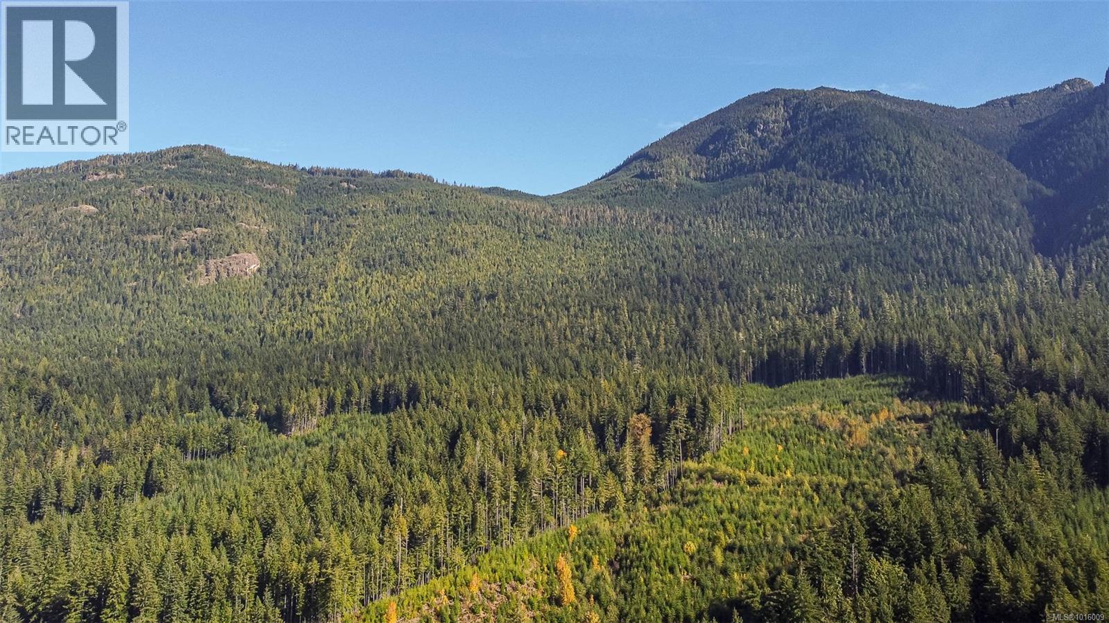 584 Sabre Rd, Sayward, British Columbia  V0P 1R0 - Photo 47 - 1016009