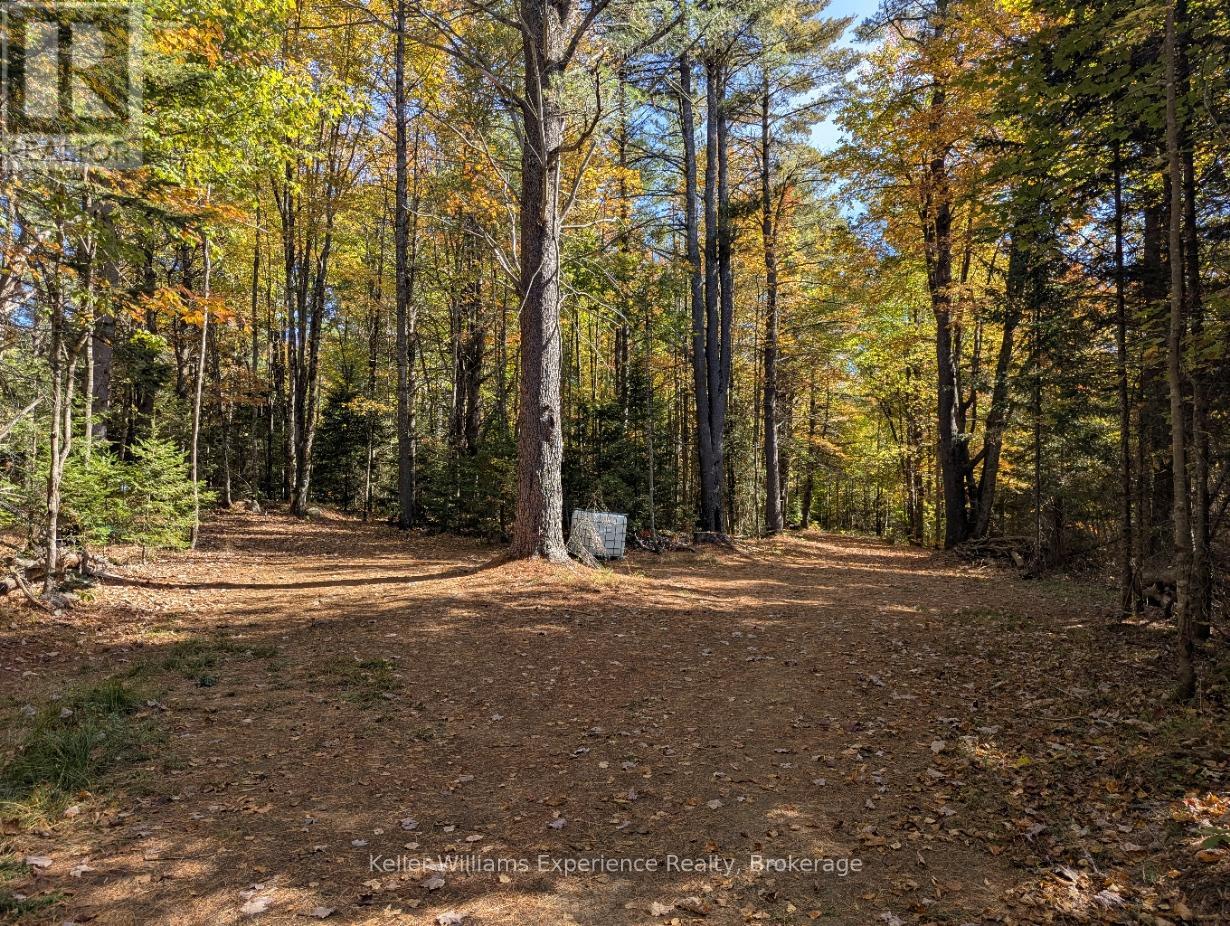 0 Langford Road, Lake Of Bays, Ontario  P0B 1A0 - Photo 5 - X12451423