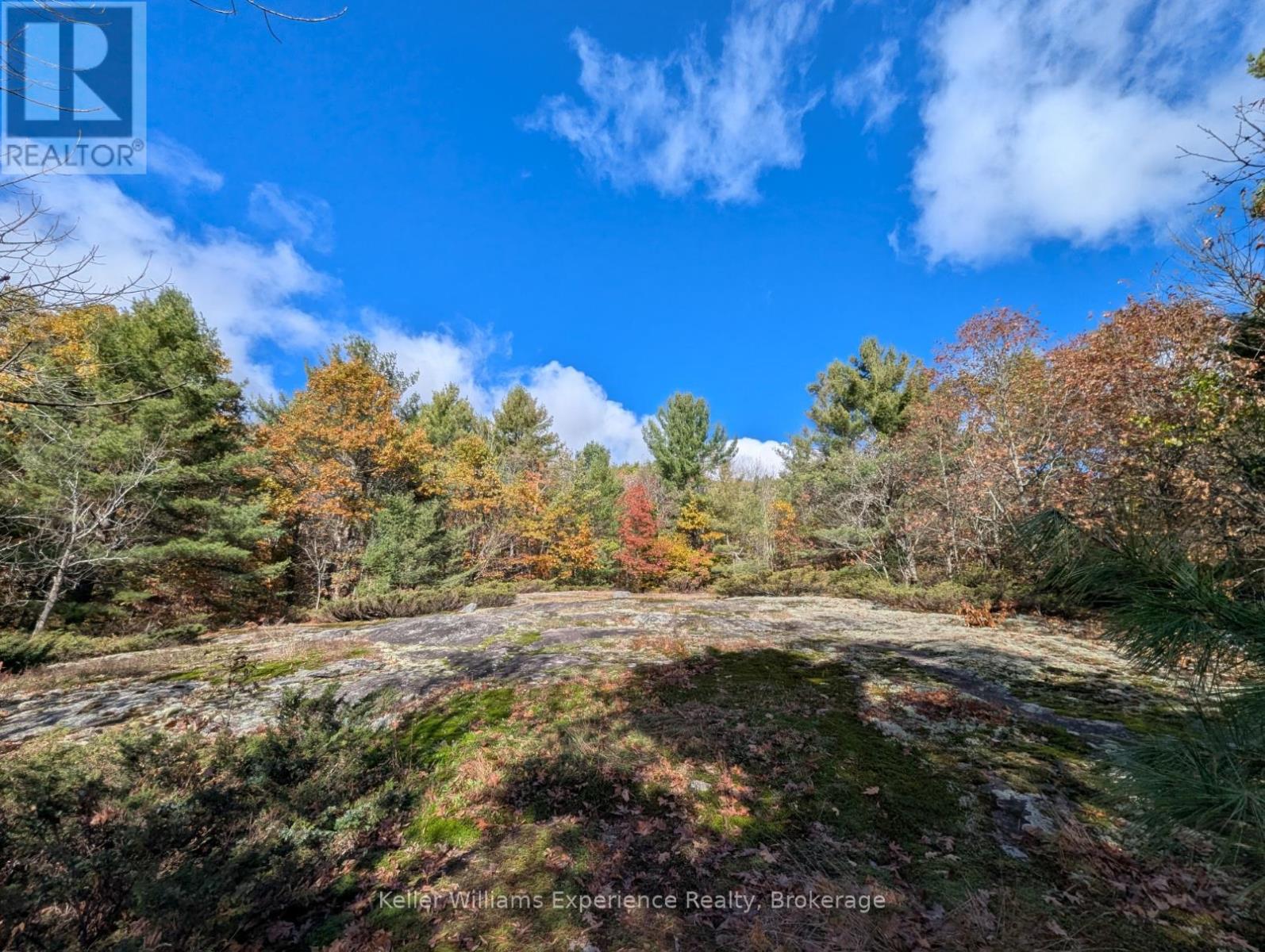 0 Langford Road, Lake Of Bays, Ontario  P0B 1A0 - Photo 3 - X12451423