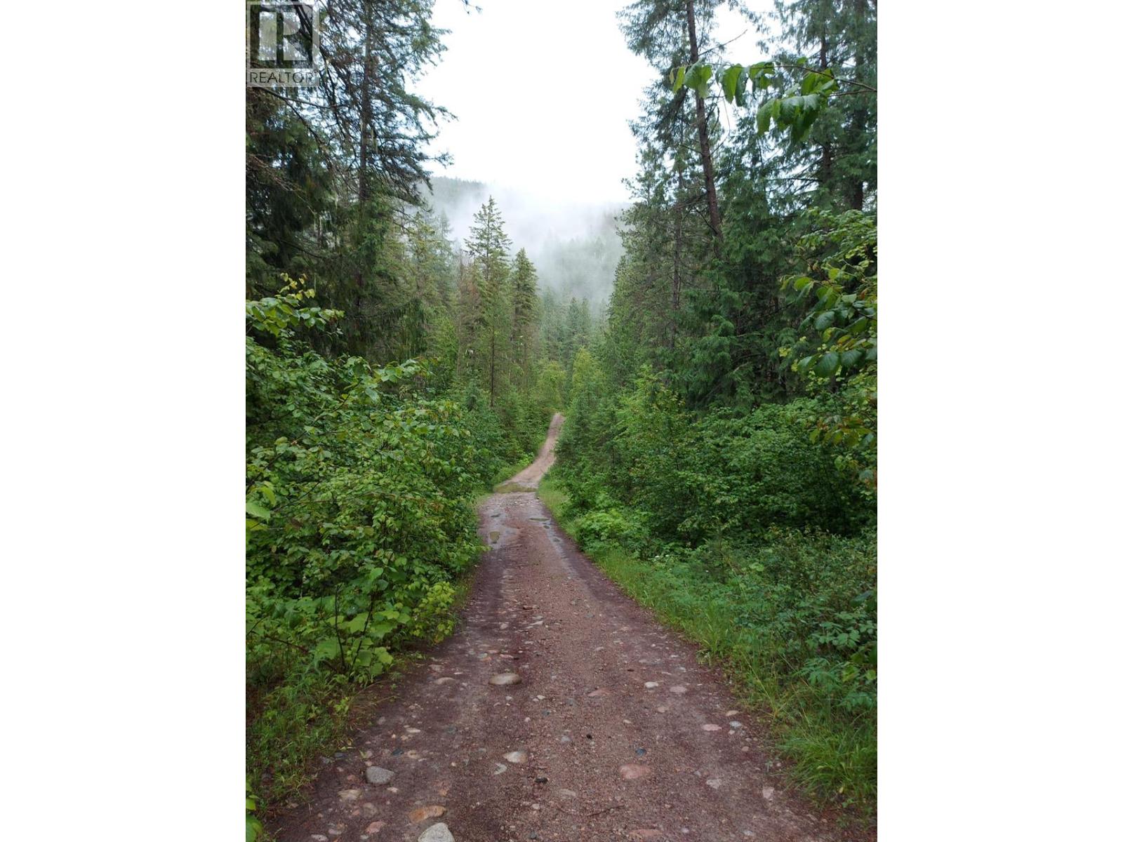 Parcel B Renata Forestry Road, Renata, British Columbia  V1N 4V8 - Photo 1 - 10365368