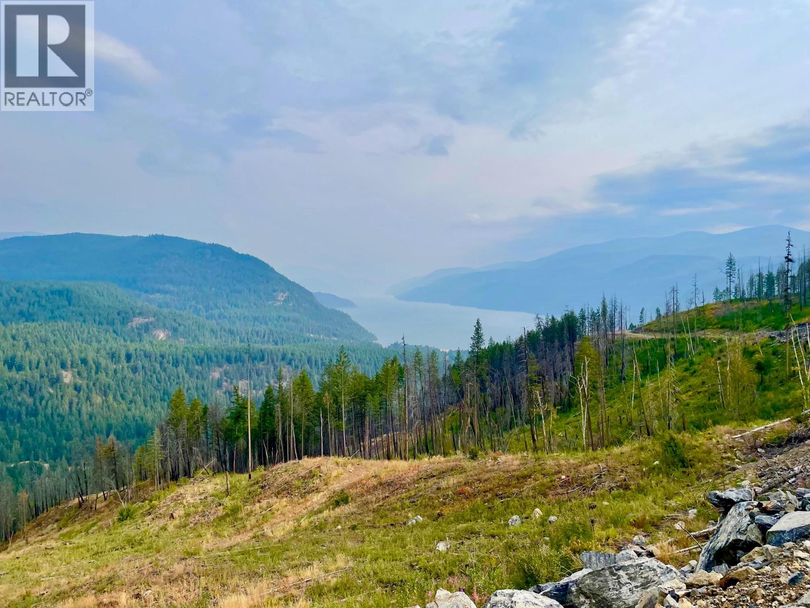 Parcel B Renata Forestry Road, Renata, British Columbia  V1N 4V8 - Photo 3 - 10365368