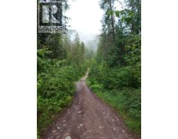 Parcel B RENATA FORESTRY Road, renata, British Columbia