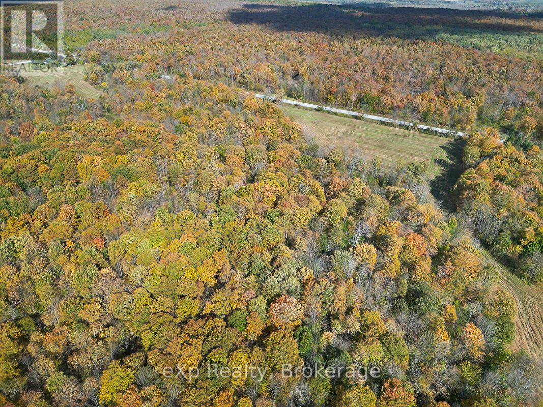 179422 Grey Road 17, Georgian Bluffs, Ontario  N0H 2T0 - Photo 28 - X12451968