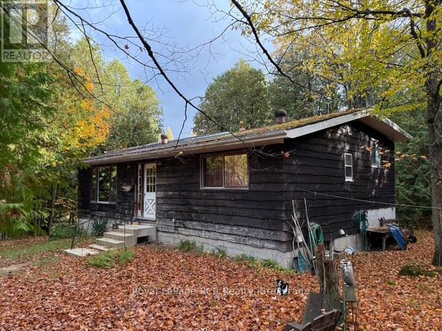 315693 6 Highway, Chatsworth, Ontario  N0H 1G0 - Photo 2 - X12452031