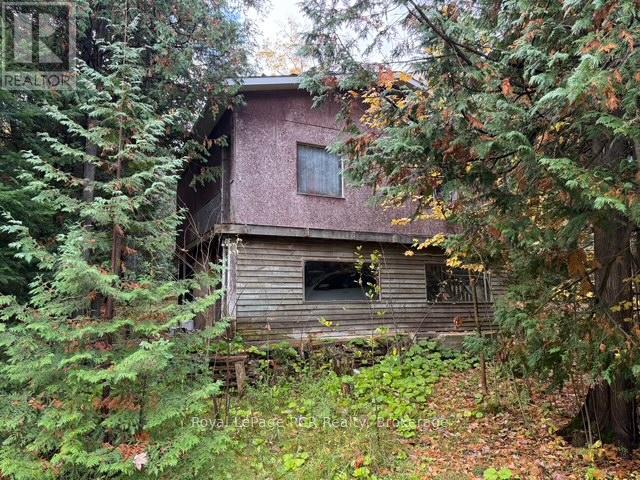 315693 6 Highway, Chatsworth, Ontario  N0H 1G0 - Photo 20 - X12452031