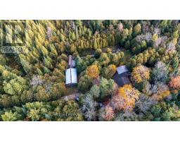 315693 6 HIGHWAY, chatsworth, Ontario