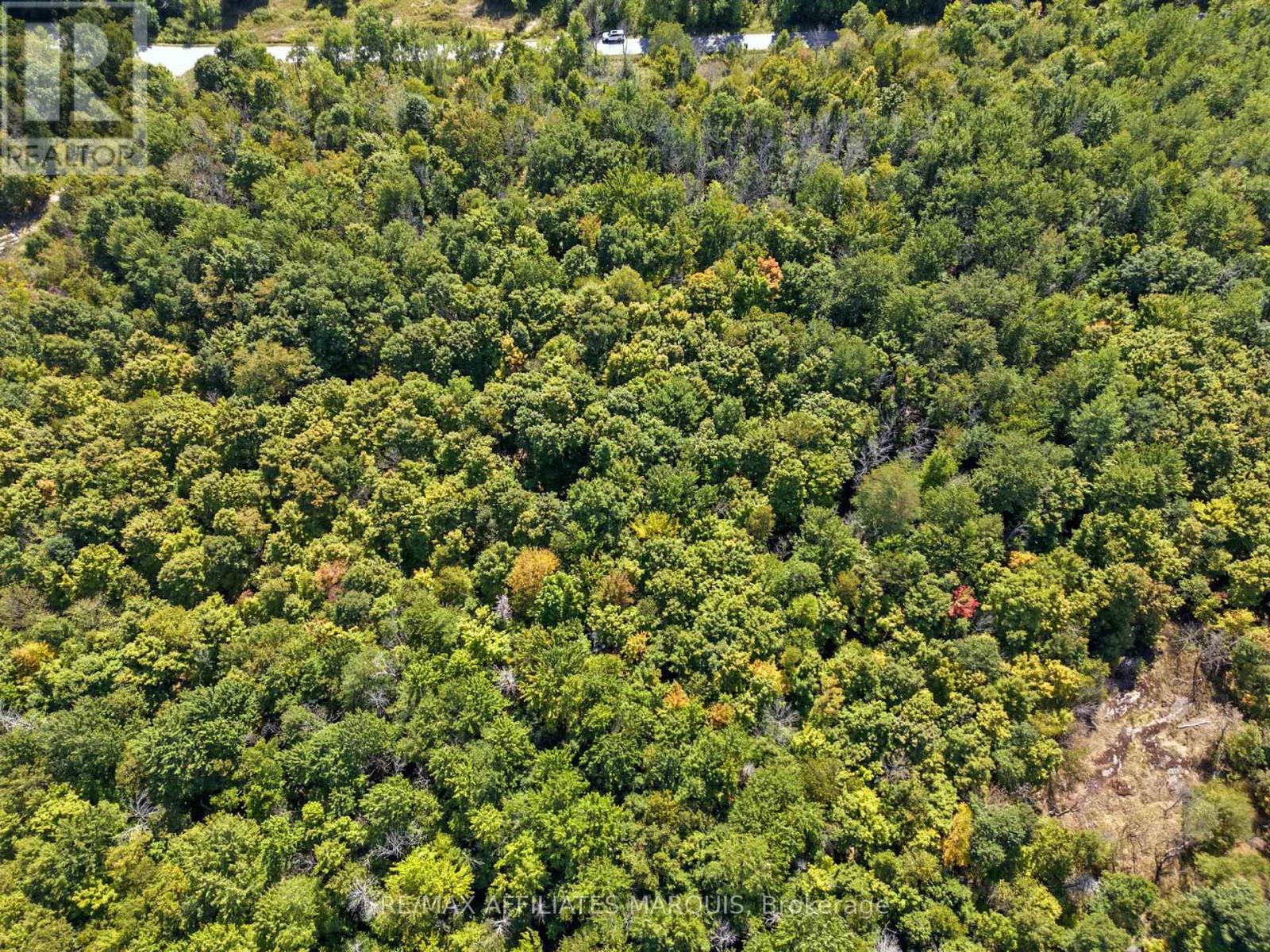 290 Ebbs Bay Road, Drummond/north Elmsley, Ontario  K7C 4K8 - Photo 5 - X12384442