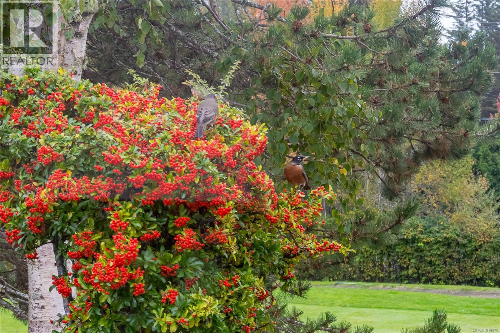 801 Country Club Dr, Cobble Hill, British Columbia  V8H 0K8 - Photo 37 - 1015570