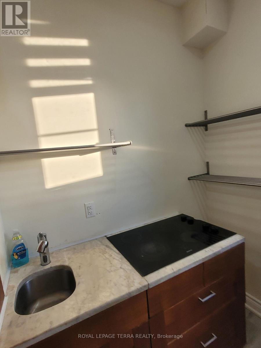 Lower Level 1 Bed Room - 8694 Financial Drive, Brampton, Ontario  L6Y 6G6 - Photo 5 - W12451877