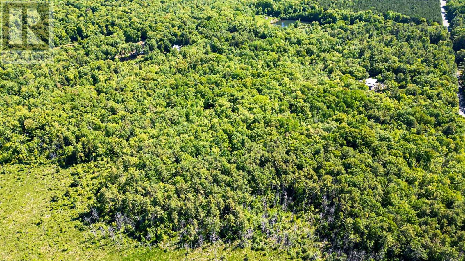 0 Southwood Road, Gravenhurst (Wood (Gravenhurst)), Ontario  P0E 1G0 - Photo 13 - X12452035